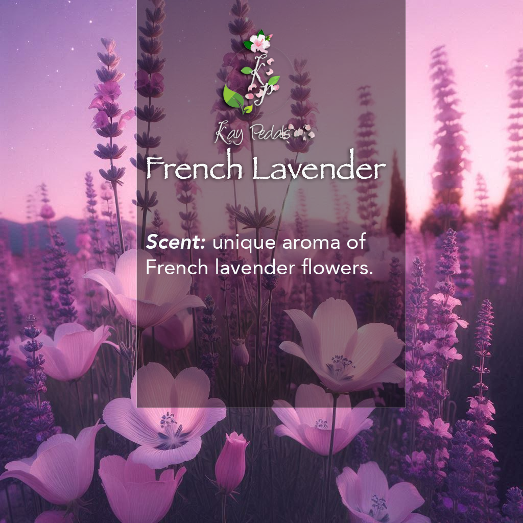 French Lavender Natural Organic Body Lotion